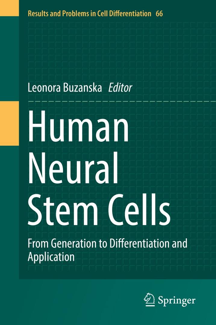 adult neural stem cells adult neural stem cells