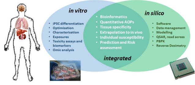 In vivo, in vitro, in silico  the right variation towards stopping  animal testing. - DV8 World News